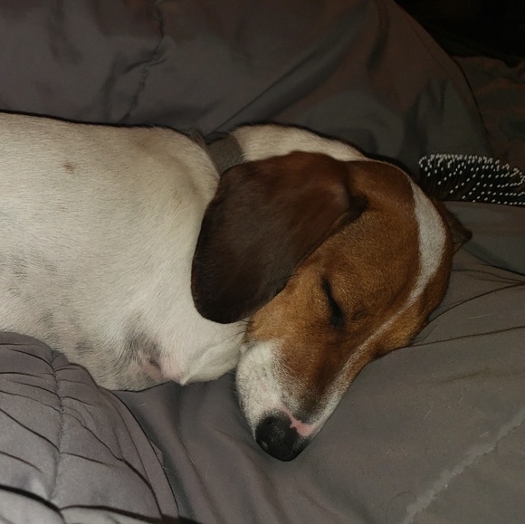 Meet your Posher, April - Picture 1 of 1